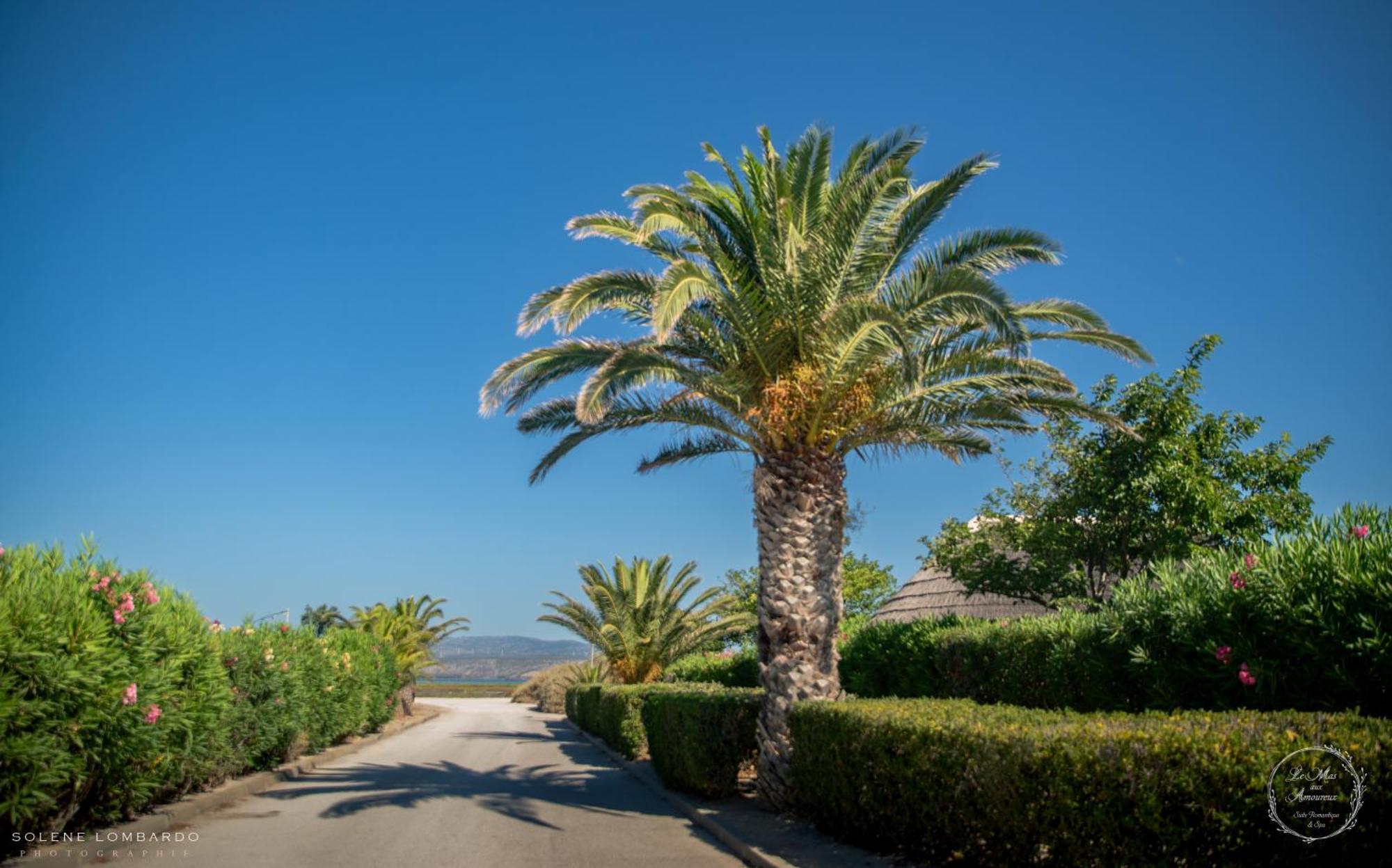 Le Mas Aux Amoureux , Suite Romantique Et Spa Le Barcares Exterior photo
